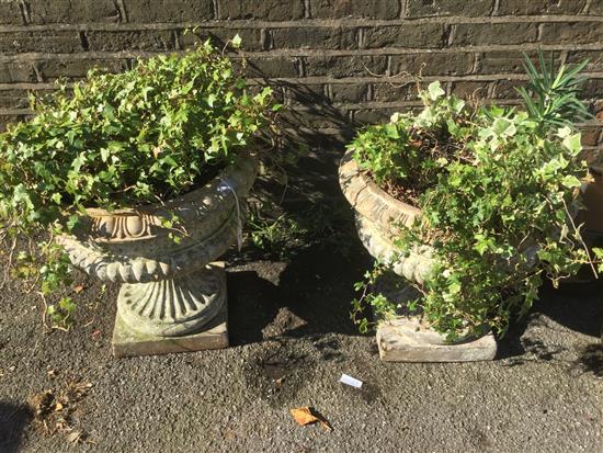 Pair stone urns